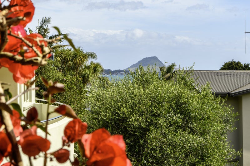 6A Anchorage Grove, Maungatapu, Tauranga - Carousel 2