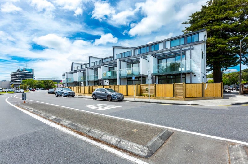 4/1 Myrtle Street, Hutt Central, Lower Hutt - Carousel 2
