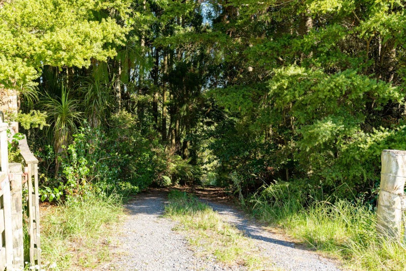 227 School Road, Te Arai, Wellsford - Carousel 2