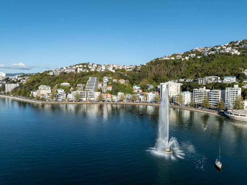 2/308 Oriental Parade, Oriental Bay, Wellington - Carousel 25