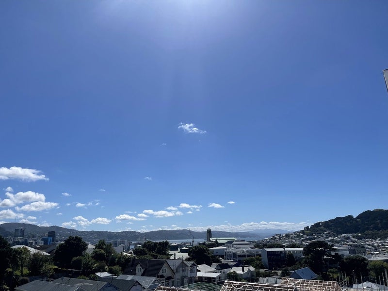 2/45A Rolleston Street, Mount Cook, Wellington - Carousel 16