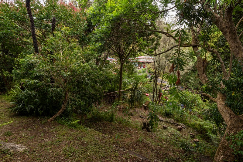 42 Bedlington Street, Whau Valley, Whangarei - Carousel 24