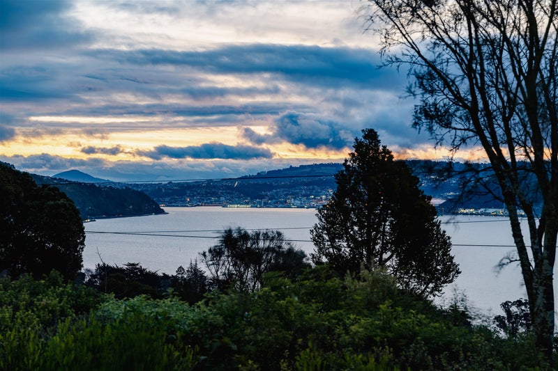 21 Jane Street, Macandrew Bay, Dunedin - Carousel 35