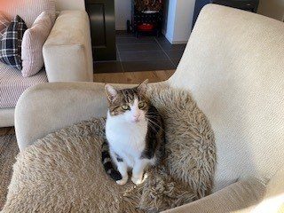 136 Leyland Road, Tauranga - Carousel 2