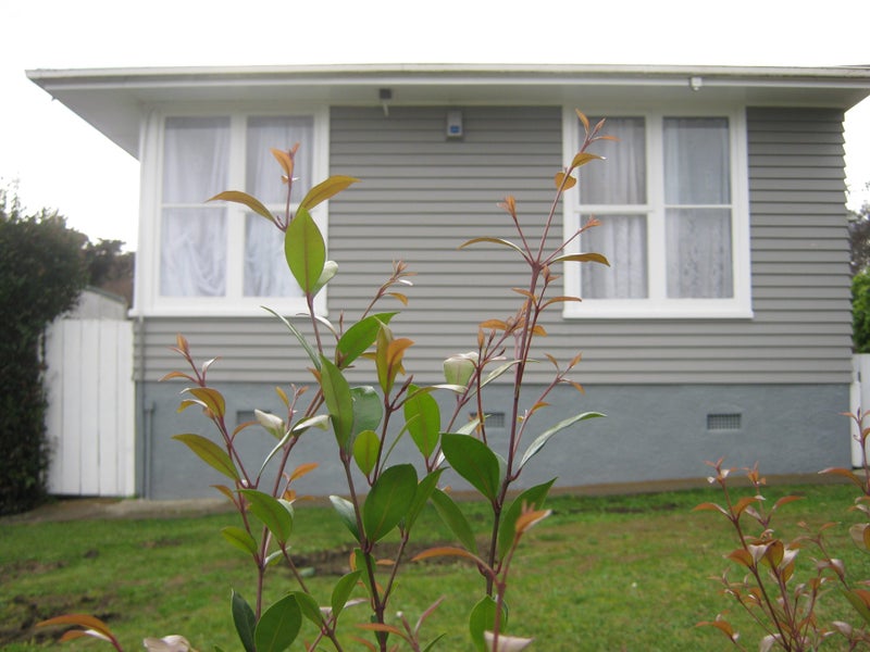 6 Greenway Place, Glen Innes, Auckland - Carousel 22