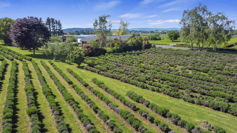 169 Brotherhood Road, Kihikihi, Te Awamutu - Carousel 2