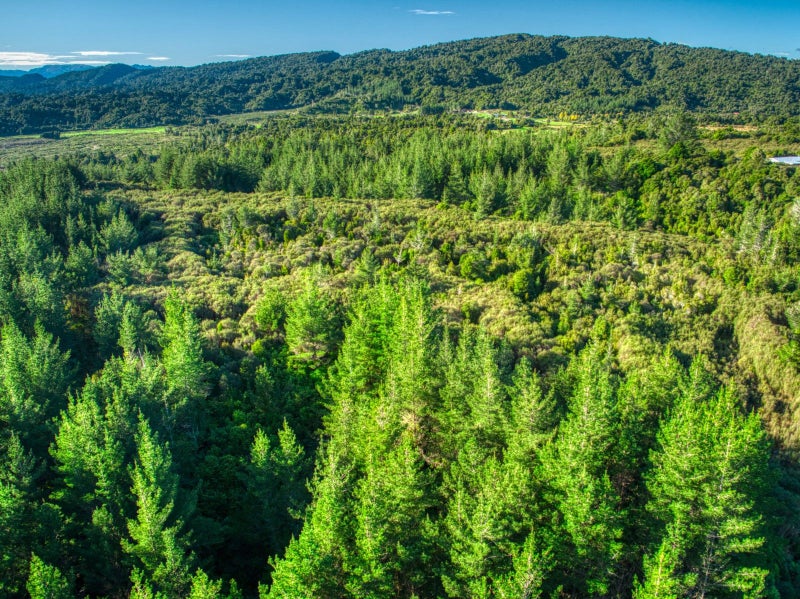 73 Haydens Road, Marsden, Greymouth - Carousel 1