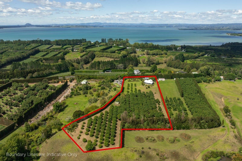 63 Ongare Point Road, Tahawai - Carousel 37