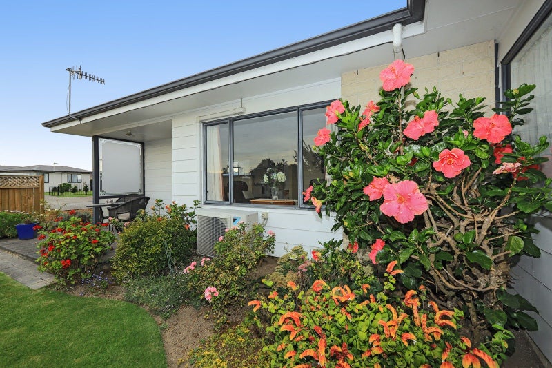 23 King Street, Taradale, Napier - Carousel 18