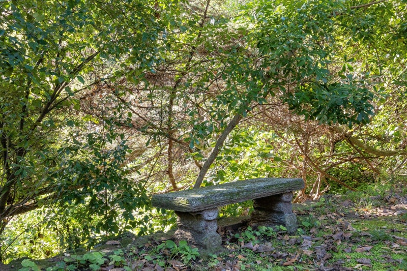 3 Cobden Crescent, Bluff Hill, Napier - Carousel 17