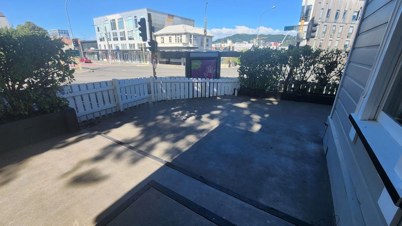 290 Willis Street, Aro Valley, Wellington - Carousel 2