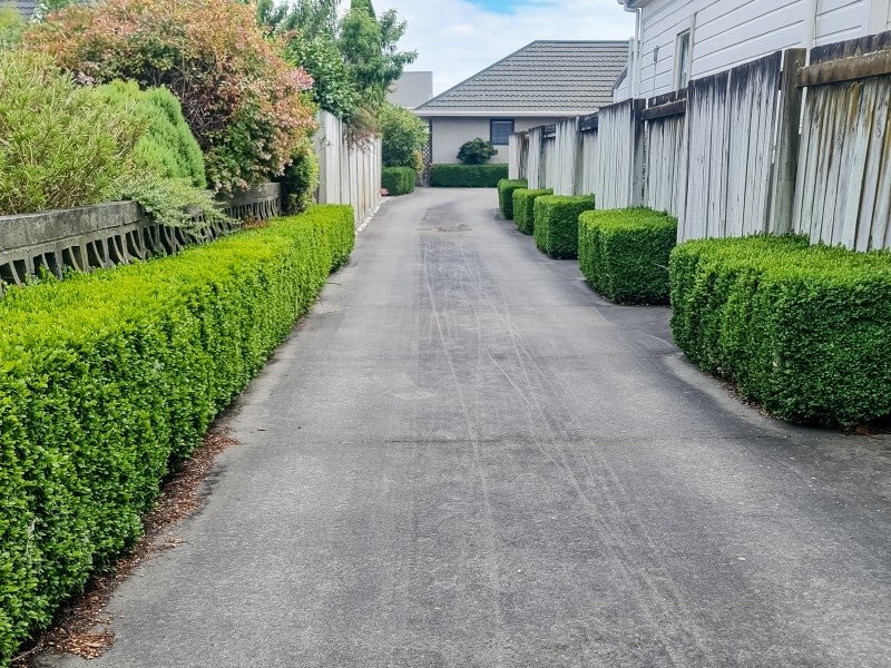 47 Limbrick Street, Terrace End, Palmerston North - Carousel 16