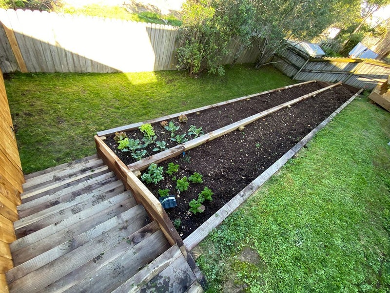 3 Jomard Terrace, Northcross, Auckland - Carousel 15