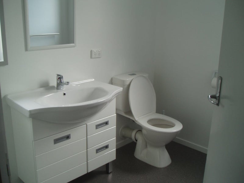 6 Ellis Street, North Dunedin, Dunedin - Carousel 2