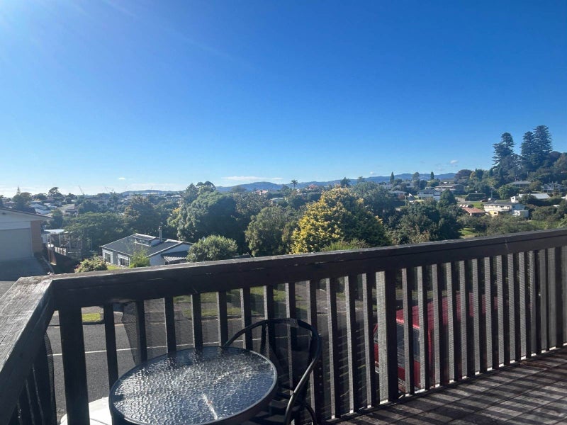 111 Ridge Street, Otumoetai, Tauranga - Carousel 14