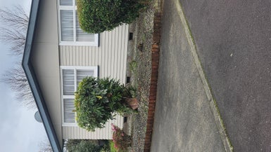 28 Daniell Street, Solway, Masterton - Carousel 1