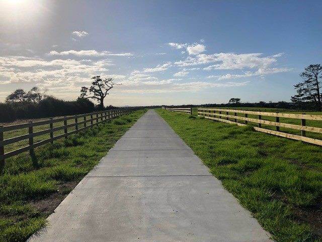 14 Livery Lane, Taupaki - Carousel 13