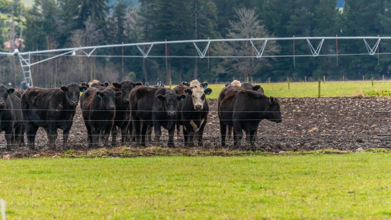 0 Plantation Road, Maungatautari, Cambridge - Carousel 35