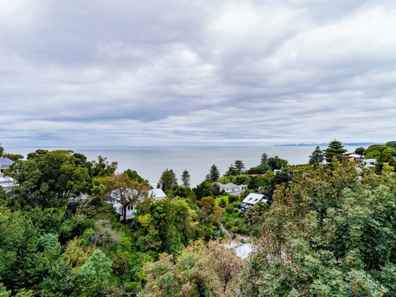 7 Lucy Road, Bluff Hill, Napier - Carousel 25