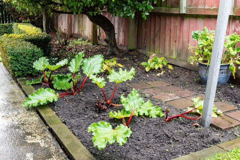 2/54A Aorangi Road, Bryndwr, Christchurch - Carousel 23