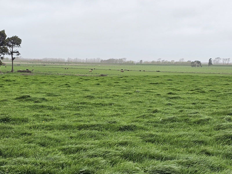 0 Paiaka Road, Koputaroa, Shannon - Carousel 8