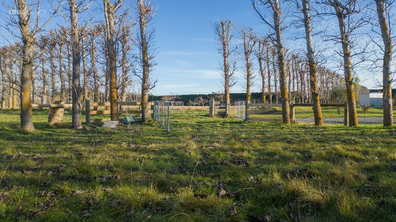 75 Priors Road, Fernside, Rangiora - Carousel 32