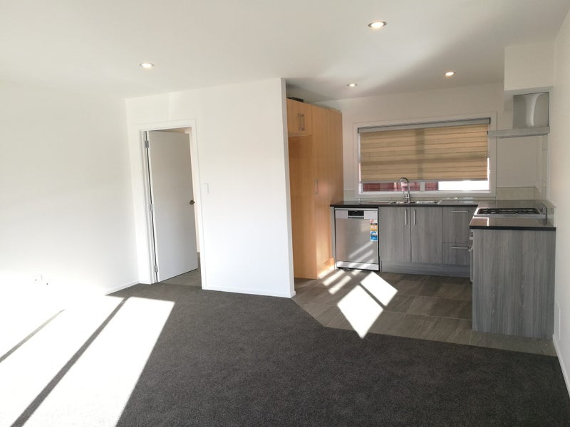 2/10 Lyon Street, Frankton, Hamilton - Carousel 1