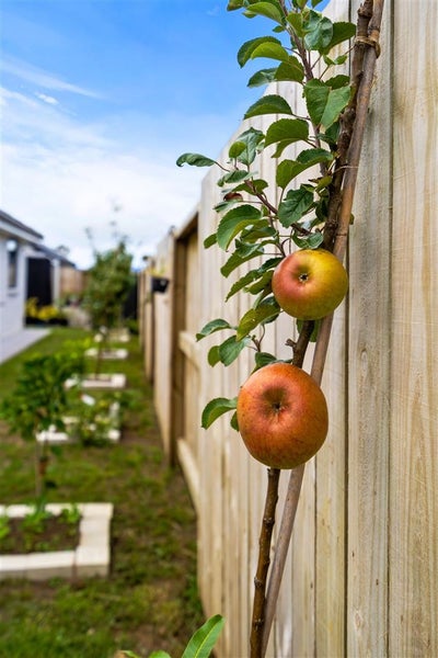 4 Tiaki Rise, Tikipunga, Whangarei - Carousel 22