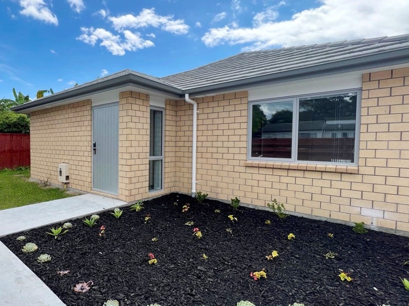 45A Mahoe Street, Melville, Hamilton - Carousel 16