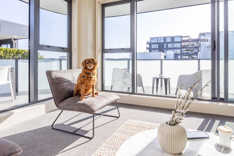 25/8 Basque Road, Eden Terrace, Auckland - Carousel 2