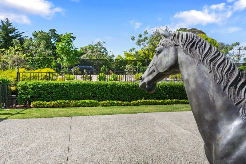 16 Robinson Road, Albany - Carousel 2
