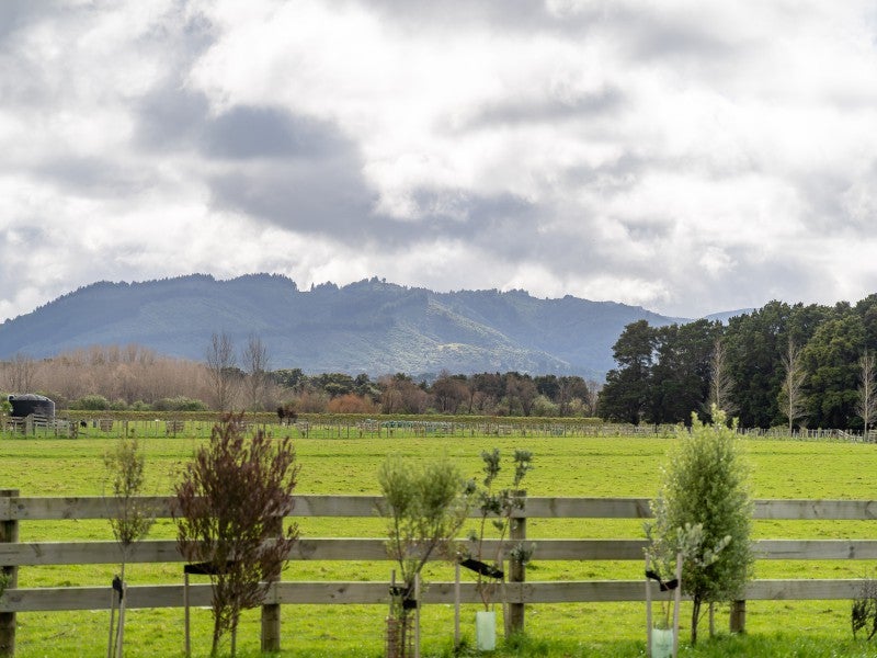40 Flax Cutter Lane, Woodside, Greytown - Carousel 2