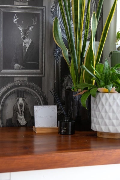 12 Goldsmith Place, Waltham, Christchurch - Carousel 31