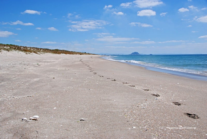 8 Seashell Drive, Papamoa Beach, Papamoa - Carousel 13