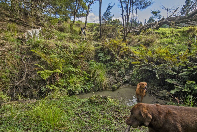 125 Baldrock Road, Brynderwyn, Maungaturoto - Carousel 2