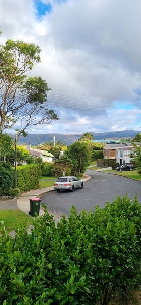 1/15 Bloomsbury Grove, Newlands, Wellington - Carousel 21