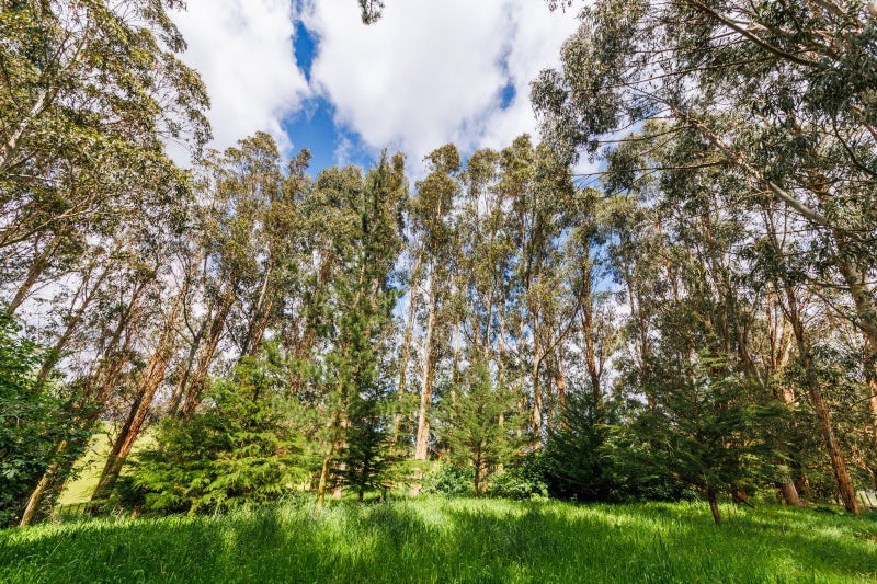 721 Stoney Creek Road, Bunnythorpe, Palmerston North - Carousel 35