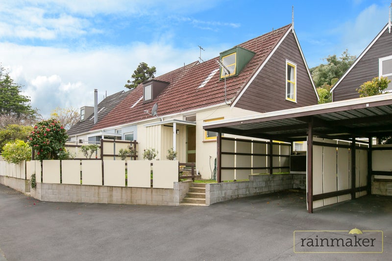 3G Green Road, Panmure, Auckland - Carousel 1