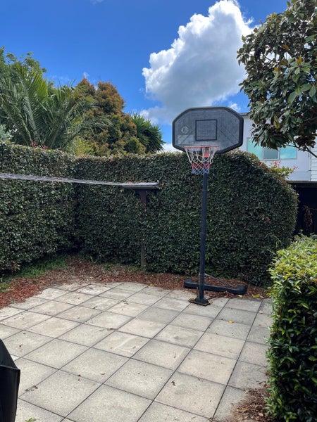 56B Nile Road, Milford, Auckland - Carousel 21