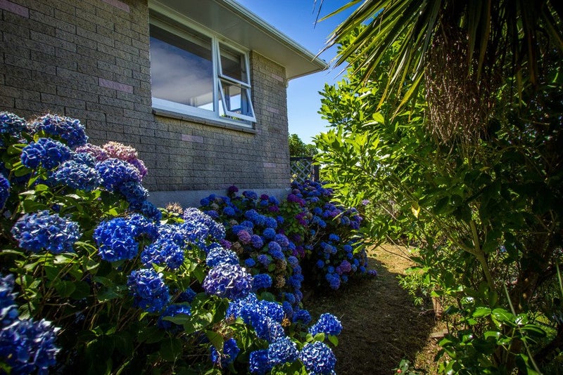 31A Mandalay Terrace, Khandallah, Wellington - Carousel 20