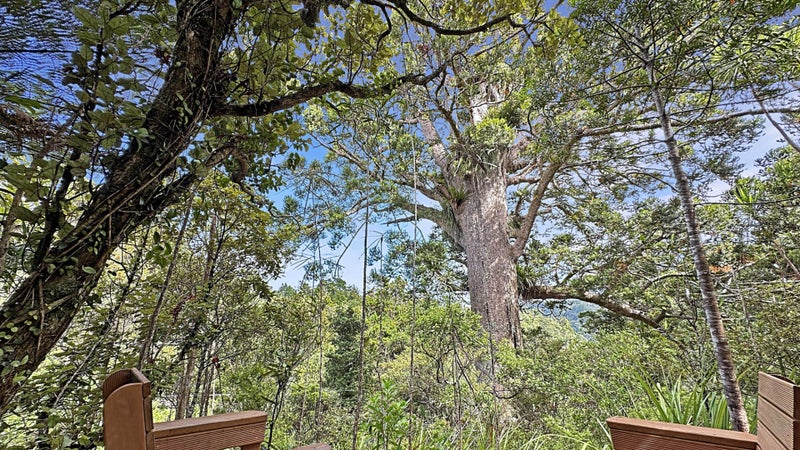 144 Opanuku Road, Henderson Valley, Auckland - Carousel 23