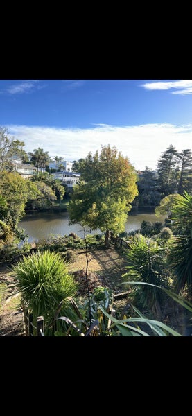 10 MacPherson Street, Meadowbank, Auckland - Carousel 10