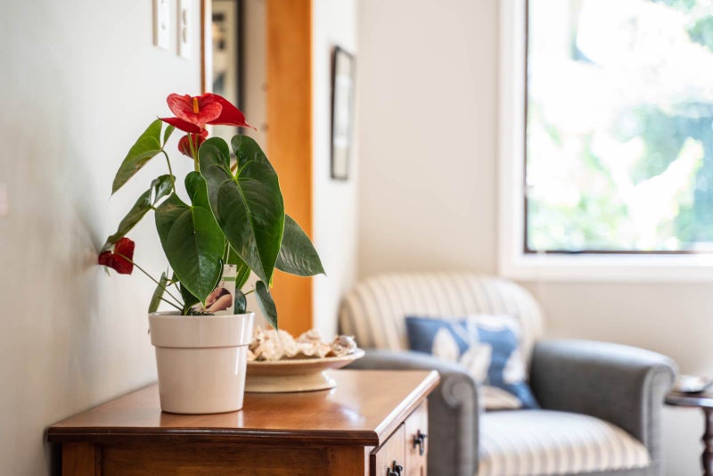 126 Puriri Park Road, Maunu, Whangarei - Carousel 14