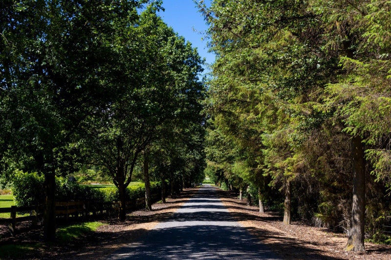 28 Hogans Gully Road, Lake Hayes, Queenstown - Carousel 2