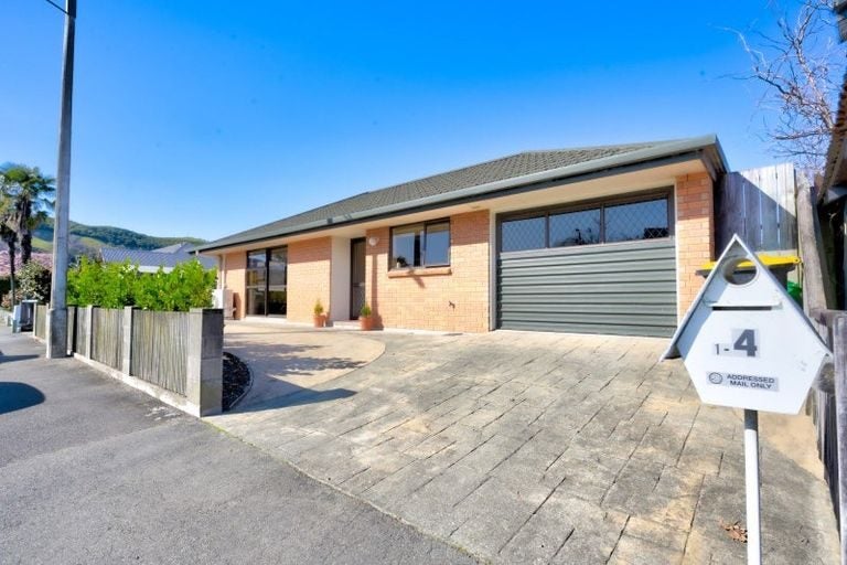 1/4 Weka Street, The Wood, Nelson - Carousel 1