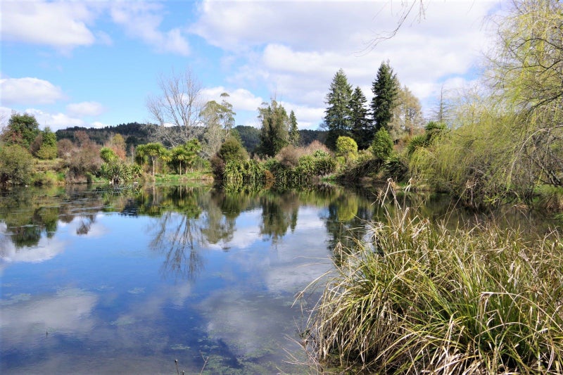 431 Arataki Road, Whakamaru - Carousel 1