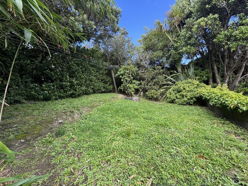 5 Harland Street, Brooklyn, Wellington - Carousel 13