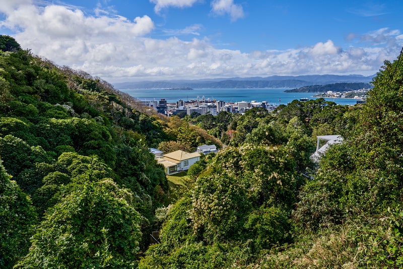 48 Orangi Kaupapa Road, Northland, Wellington - Carousel 12