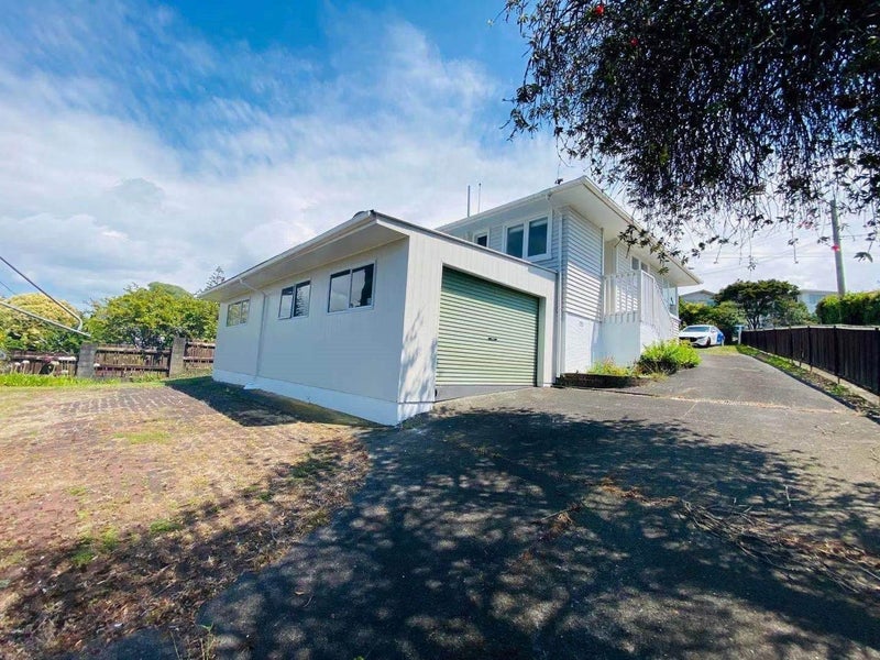 44 Ted William Street, New Windsor, Auckland - Carousel 2