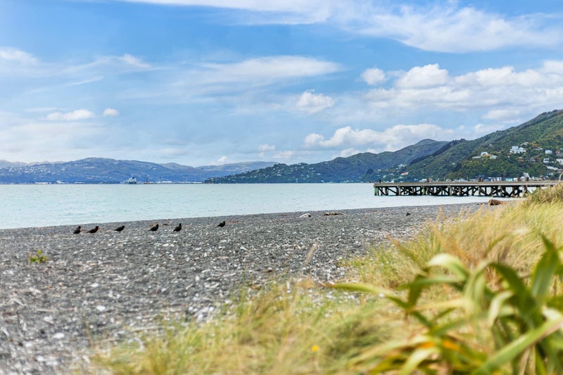 105 Marine Parade, Eastbourne, Lower Hutt - Carousel 24